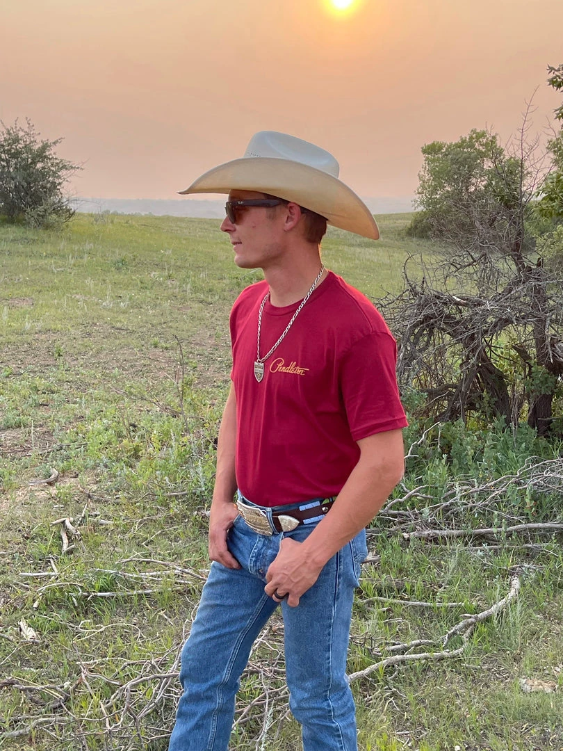 Deals ๐ฏ Pendleton Harding Diamond Logo Graphic Tee โ๏ธ 7 Pendleton Harding Diamond Logo Graphic Tee